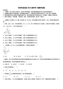 常州市金坛区2025届中考一模数学试题含解析