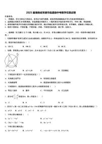 2025届湖南省常德市临澧县中考数学仿真试卷含解析