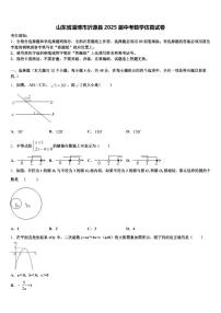 山东省淄博市沂源县2025届中考数学仿真试卷含解析