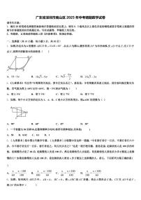 广东省深圳市南山区2025年中考猜题数学试卷含解析