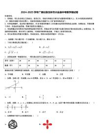 2024-2025学年广西壮族玉林市兴业县中考数学模试卷含解析