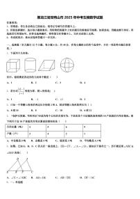 黑龙江省双鸭山市2025年中考五模数学试题含解析