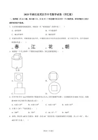 2025湖北省武汉市中考数学试卷(回忆版)无答案