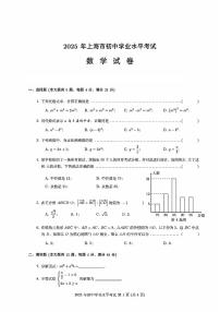 2025上海市中考数学真题试题(高清)无答案