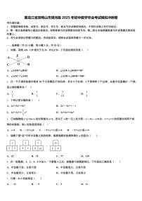 黑龙江省双鸭山市饶河县2025年初中数学毕业考试模拟冲刺卷含解析