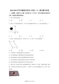 2024~2025学年安徽省阜阳市七年级下学期期末数学试卷