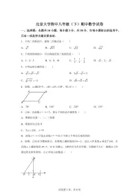 2024~2025学年北京大学附中下学期八年级期中数学试卷