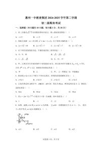 2024~2025学年广东省惠州市惠州一中教育集团八年级下学期数学期末试卷
