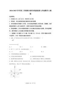 2024~2025学年河北省保定市安新县七年级下学期期末考试数学试卷