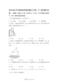 2024~2025学年湖南省常德市澧县下学期八年级期末数学试卷