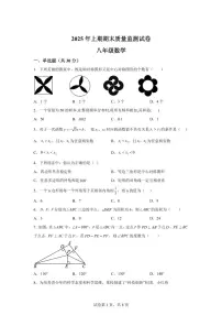 2024~2025学年湖南省永州市宁远县八年级下学期期末考试数学试卷