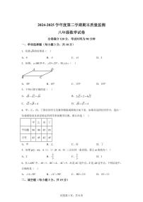 2024~2025学年吉林省吉林市舒兰市第十六中学八年级下学期期末教学质量检测数学试卷