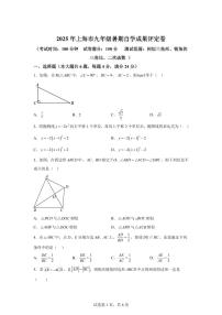 2024~2025学年九年级暑期自学成果评定卷（相似三角形、锐角三角比、二次函数）新九年级数学暑假讲义（沪教版）