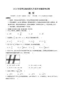 2024年新九年级数学开学摸底考试卷（沪科版）