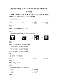 重庆市沙坪坝区2024-2025学年九年级上学期期末考试数学试卷（解析版）