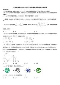 江西省鹰潭市2024-2025学年中考数学最后一模试卷含解析