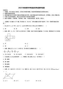2025年承德市中考适应性考试数学试题含解析
