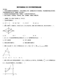 焦作市武陟县2025年中考数学模拟试题含解析