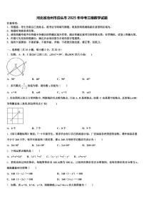 河北省沧州市泊头市2025年中考三模数学试题含解析