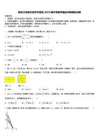 黑龙江省哈尔滨市平房区2025届中考数学最后冲刺模拟试卷含解析