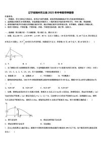 辽宁省锦州市义县2025年中考数学押题卷含解析