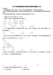 2025年河南省信阳市平桥区中考数学考前最后一卷含解析