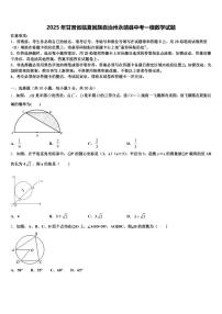 2025年甘肃省临夏回族自治州永靖县中考一模数学试题含解析