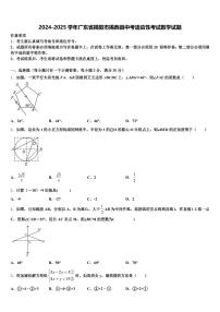 2024-2025学年广东省揭阳市揭西县中考适应性考试数学试题含解析