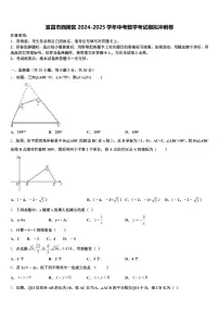 宜昌市西陵区2024-2025学年中考数学考试模拟冲刺卷含解析