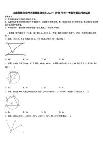 凉山彝族自治州木里藏族自治县2024-2025学年中考数学模拟预测试卷含解析