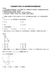 江苏省南京市下关区2025届中考数学对点突破模拟试卷含解析