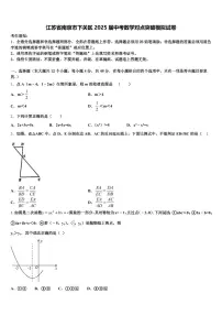 江苏省南京市下关区2025届中考数学对点突破模拟试卷含解析
