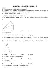 白城市大安市2025年中考数学考前最后一卷含解析
