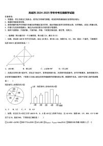 凤城市2024-2025学年中考五模数学试题含解析