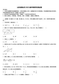 山东省烟台市2025届中考数学仿真试卷含解析