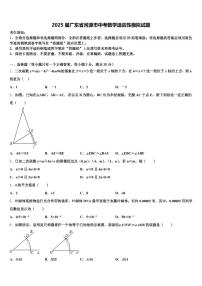 2025届广东省河源市中考数学适应性模拟试题含解析