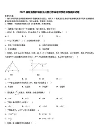 2025届延边朝鲜族自治州图们市中考数学适应性模拟试题含解析