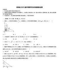 来凤县2025届中考数学对点突破模拟试卷含解析