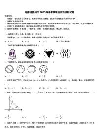 海南省儋州市2025届中考数学适应性模拟试题含解析
