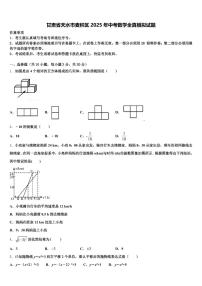 甘肃省天水市麦积区2025年中考数学全真模拟试题含解析