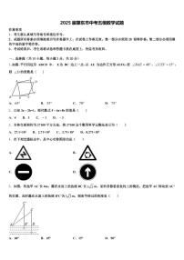 2025届肇东市中考五模数学试题含解析