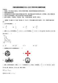 内蒙古锡林郭勒盟2024-2025学年中考三模数学试题含解析