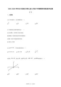 2024_2025学年四川省南充市营山县七年级下册期期末模拟数学检测试卷1【附答案】