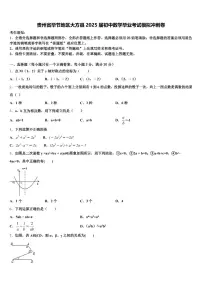 贵州省毕节地区大方县2025届初中数学毕业考试模拟冲刺卷含解析