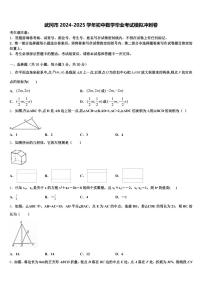 武冈市2024-2025学年初中数学毕业考试模拟冲刺卷含解析