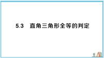 初中数学湘教版（2024）八年级上册（2024）5.3 直角三角形全等的判定习题ppt课件