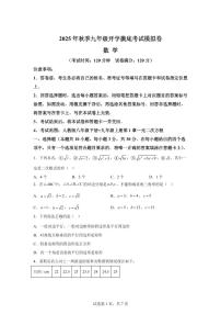 2025年九年级秋季开学摸底考数学检测试卷（湖南长沙专用）