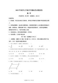 2025年九年级秋季开学摸底考数学检测试卷（人教版）