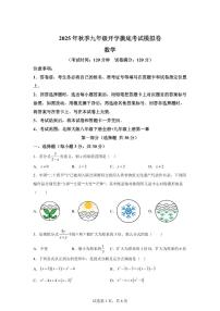 2025年九年级秋季开学摸底考数学检测试卷02（广东专用）