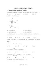 广东省惠州市一中集团2024--2025学年下学期七年级数学6月月考试卷